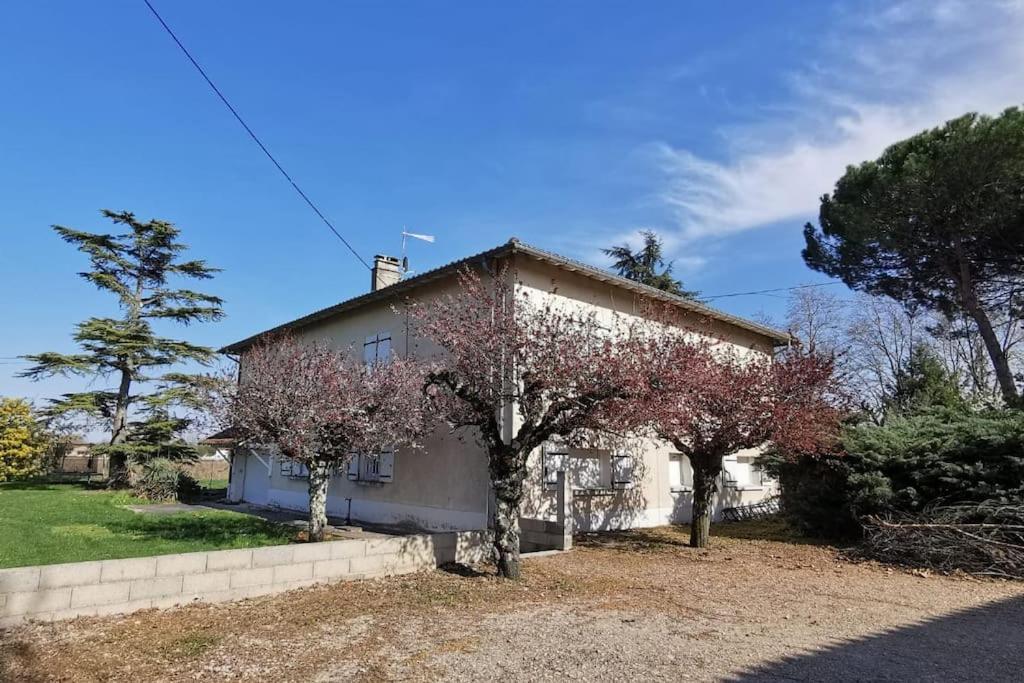 Maison Gaillacoise Buitenkant foto