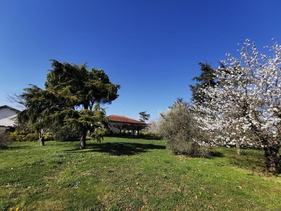 Maison Gaillacoise Buitenkant foto